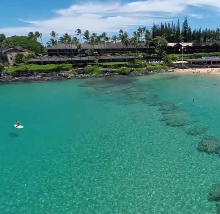 Maui, HI 3rd Annual Ram Dass Legacy “Open Your Heart in Paradise” Maui